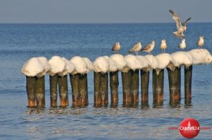 WBP zaprasza na wernisaż wystawy fotograficznej Waleriana Kiezika