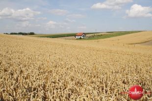 Urszula Pasławska: Rząd oszczędza na rolnictwie