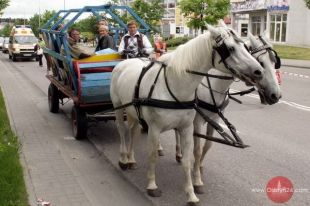 Furmanki na Warszawę!?