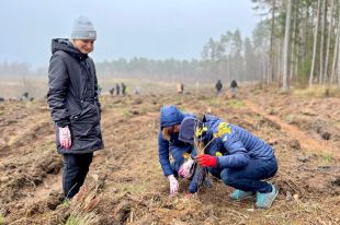 Wielka akcja sadzenia drzew z Warmińską Aurą za nami!