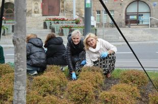 Kolejne Pole Nadziei powstało przy olsztyńskim ratuszu